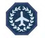 Badge camp aviation avancée