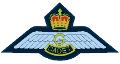 badge_ailes_GLIDER